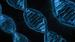 the importance of epigenetics