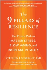 pillars of resilience