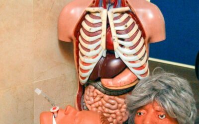 Unpacking Less-Common Men’s Health Issues