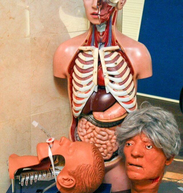 Unpacking Less-Common Men’s Health Issues