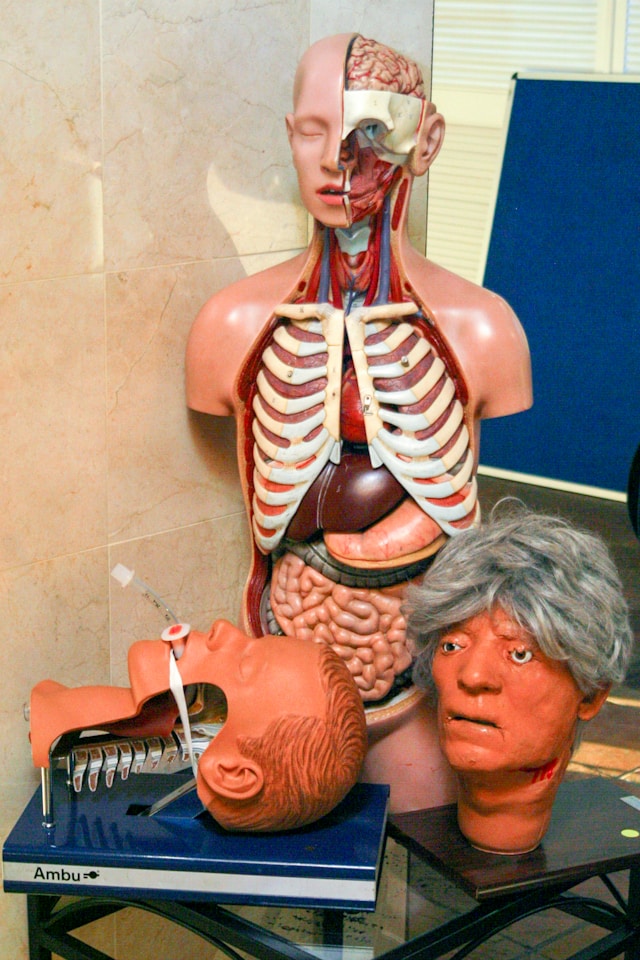 men's health month 2025, less common conditions