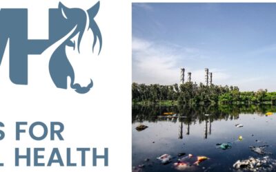 Horses for Mental Health + Toxic Exposures: The Fifth Pillar of Lifestyle Medicine
