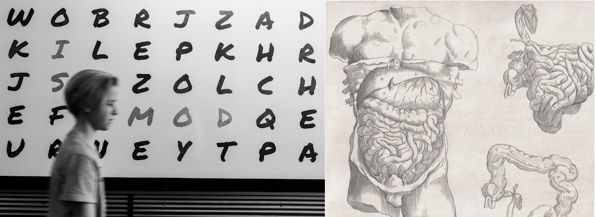 Heathy Family Show, episode 94